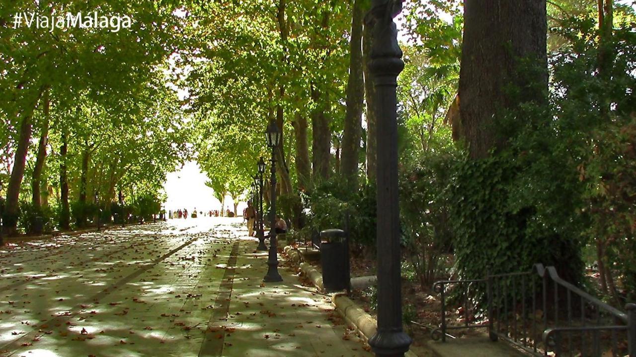 Apartment Rual Centro *